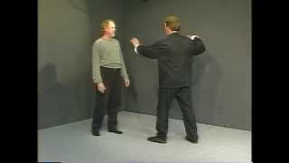 Yang Style Tai Chi Long Form Master Course - Lesson 22