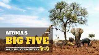 Wildlife documentary in hindi - Big Five | Wild Animals in Africa, हिन्दी डॉक्यूमेंट्री