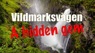 A hidden gem at Vildmarksvägen | Road trip through Sweden