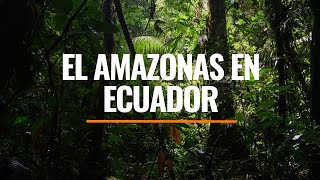 Disfrutando del Amazonas en Ecuador | Cultura Indómita