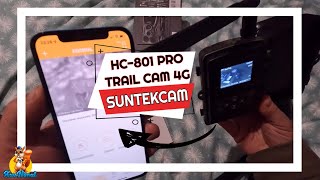 4G hunting camera SUNTEKCAM HC-801pro: configuration and menu