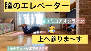 【膣力を付けたい】今宵もユミコアオンラインで大爆笑