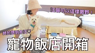 和寵物開房間！？🐶🐱 東森山林度假酒店，與毛孩共創甜蜜蜜回憶˙//˙（親子旅行也不容錯過）｜艾波外出中April's Lifestyle