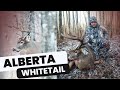 Don's First Alberta Whitetail Hunt - Two Year Story for a Long Main-Beamed Split Brow-Tine Buck