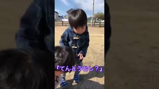 てんとうむしに遭遇した双子【動かない。。。笑】