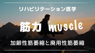 【医学】加齢性筋萎縮と廃用性筋萎縮について解説