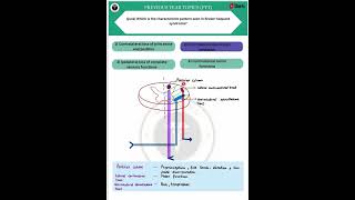 Vertebral Injury: Key Pattern Explained #Neurology #Medical #Edu