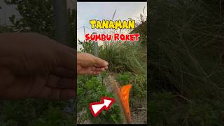 Vano menemukan tanaman aneh 😱🌱#tanamananeh #roket