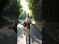 cute cocok on bicycle funny cuteanimal cute