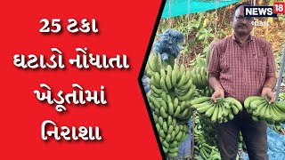 Bharuch | અહીં કેળાઓની ગલ્ફ કન્ટ્રીઓમાં નિકાસ, ચાલુ વર્ષે ઓછુ ઉત્પાદન અને ઓછા ભાવ | #local18