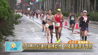 20181210 台北馬拉松邁向銅標認證 各國菁英選手齊聚 (凱擘大台北數位新聞)