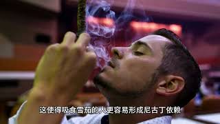 这4种香烟已被列入“黑名单”，吸烟的人请注意，最好别抽