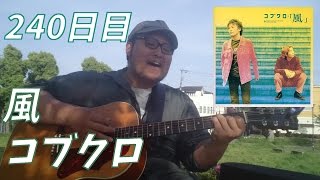 【365日連続投稿挑戦中！朝ギタ！240日目】風/コブクロ