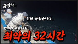 여러분들은 절대 이런날 만나지마세요.. 한치오징어가 벌써 잘나오는데 생긴일..