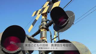 東急こどもの国線　長津田５号踏切