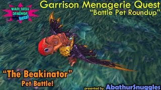 The Beakinator Pet Battle: Garrison Menagerie Quest