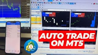 ✅ How to Enable Auto Trading in MT5 (Step-by-Step Tutorial) #autotradingsoftware #forextrading #gold
