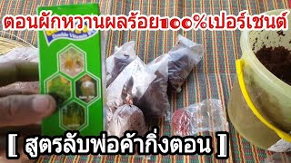 [ สูตรลับพ่อค้ากิ่งตอน ] วิธีตอนผักหวานป่าหวังผล!ร้อย100%เปอร์เชนต์ เร่งรากเยอะ