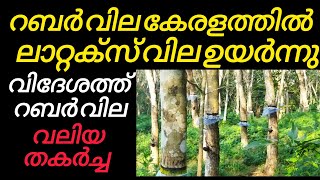 കേരളത്തിൽ റബർ ലാറ്റക്സ് വില ഉയർന്നു || Manojnediyackal