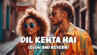 Dil Kehta Hai | Full Lofi Song (Slow and Reverb) | Akele Hum Akele Tum | 90’s Song | NestMusicZ
