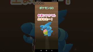 【ポケモンGO】卵から色違いフカマル出たー‼