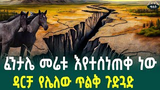 ፈንታሌመሬቱ እየተሰነጠቀ ነው! የመሬት መንቀጥቀጥ አስቀድመው የሚናገሩት እንስሳት January 1, 2025