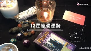 12星座11/08～11/14週運勢#Tarot#事業