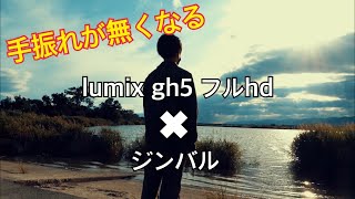 lumix gh5 fullHD zhiyun weebills ジンバル試し撮り