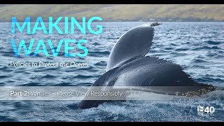 Making Waves: Whales - Please View Responsibly