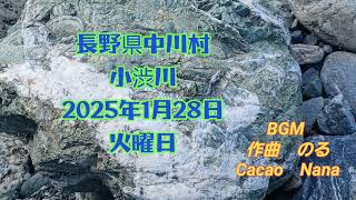 真冬の長野県中川村小渋川からの2025年1月28日石レポート、8。2025年2月11日