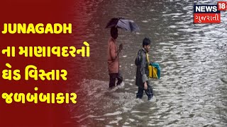 Junagadh ના માણાવદરનો ઘેડ વિસ્તાર જળબંબાકાર | News18 Gujarati