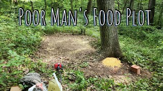 Poor man's food plot #hunting #foodplot #deerhunting