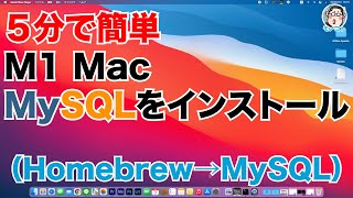 ５分でできる！M1 Mac に「MySQL」をインストールする（Homebrew→MySQL）