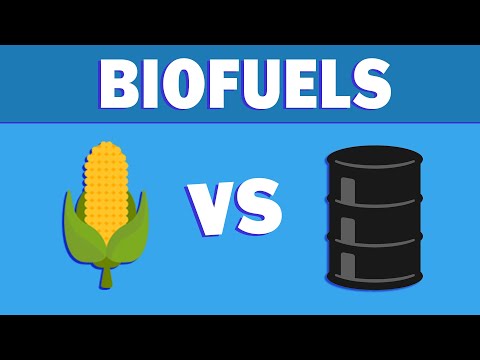 What are biofuels and where are they going?