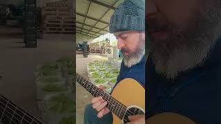 Guitar arpeggios during work break 3 #acousticguitar #guitar #arpeggios #music #farmer #zucchini