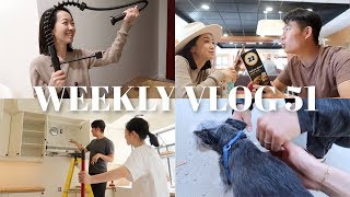 WEEKLY VLOG 51 | 装修进度更新🔨捡到一只狗狗🐶