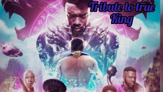 BLACK PANTHER WAKANDA FOREVER || SPOILER FREE REVIEW IN HINDI || TRIBUTE TO KING