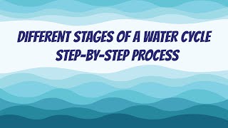 Different Stages of a Water Cycle | Step-By-Step Process