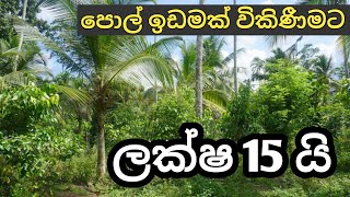 පොල් ඉඩමක් ලක්ෂ 15 වකට 😲😱 | iDam lanka |  Coconut land sale in srilanka