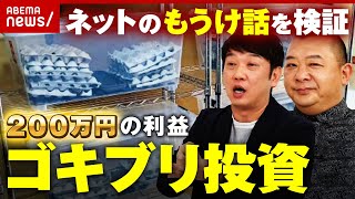 【怪しい投資？】一般人でも“年間200万円の利益” ネットに蔓延る「もうけ話」をTKOと検証｜ABEMA的ニュースショー