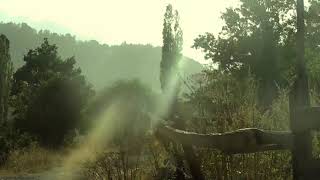 Borjomi-Kharagauli National Park