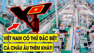 Cả ĐNÁ Ghen Tỵ Khi Không Ngờ Việt Nam Lại Sở Hữu Thứ Mà Cả Châu Âu Thèm Khát  - Dòng Máu Lạc Hồng