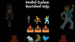 කවුද  බලමු වැඩ්ඩාඅ😎