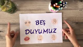 Beş Duyumuz 3. Sınıf Fen Bilimleri