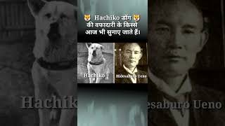 Hachiko 🐕 इससे वफादार DOG दुनिया ने नही देखा होगा 🐕🔥 कमाल की story 🔥 #shorts #facts #viral