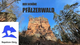 So SCHÖN ist der Pfälzerwald !!! | Wanderung auf dem Napoleonsteig