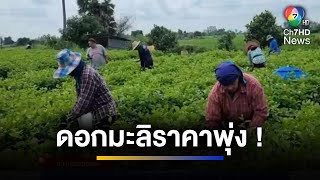 ดอกมะลิราคาพุ่ง รับวันแม่แห่งชาติ | ข่าวภาคค่ำ