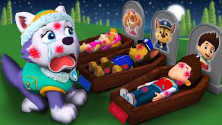 R.I.P! Goodbye Paw Patrol! Don't Leave Everest Alone | Very Sad Story | Ultimate Rescue | Rainbow 3