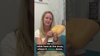 How To Do A Kegel