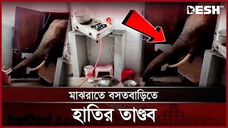 চট্টগ্রামে মাঝরাতে বন্য হাতির তাণ্ডবে বসতবাড়ি ভাংচুর | Chittagong Elefent | News | Desh TV